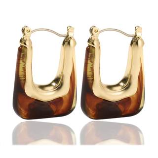 Acrylic Hoop Earrings Colour Resin Earrings Geometric Acrylic Minimalist Clear Chunky Hoops Earrings for Women