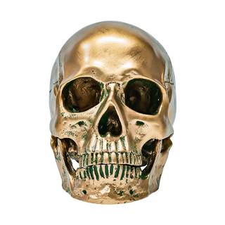 ECYC 1:1 Resin Human Skull Model Halloween Props Home Decorations High Fidelity Skull Head Sculpture Life Size