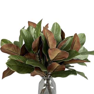 4Pcs Magnolia Stems Artificial Real Touch Magnolia Leaves Decor | Magnolia Leaves Branches, Greenery Stems, Fa