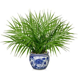 Hollyone Large Artificial Potted Plants Fake Palm Plants 16" Faux Green Plant Plastic Tropical Palm Tree in Bl