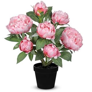 Hollyone Pink Fake Peonies Artificial Flowers in Pot 16.9" Small Peonies Tree Indoor Outdoor Faux Plants & Flo