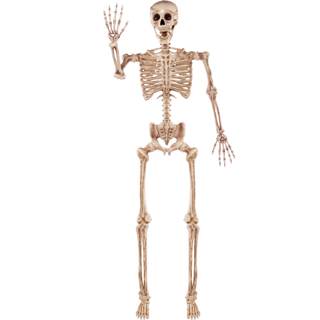 JOYIN 5.6 FT Halloween Posable Life Size Skeleton, Full Body Realistic Bones with Movable Joints, Giant Skelet