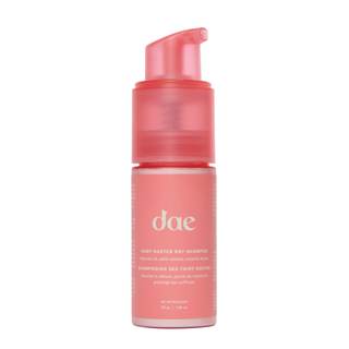 DAE Fairy Duster Dry Shampoo Powder - Non-Aerosol Natural Ingredients | Absorbs oil & refreshes roots, non-aer
