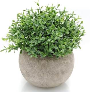 Velener Mini Sage Green Potted Boxwood Topiary Artificial Plants for Home Decor Indoor, Farmhouse House Plant 