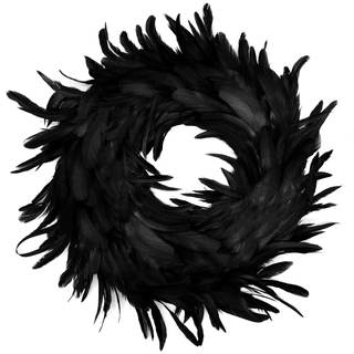 JOYIN 13.5" Black Natural Feathers Wreath for Halloween Decorations, Spooky Scene Party Favors, Halloween Phot