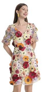 LAI MENG FIVE CATS Women's Summer 3D Floral Embroidery Tulle V-Neck Lace Mesh Mini Dress X-Small Apricot
